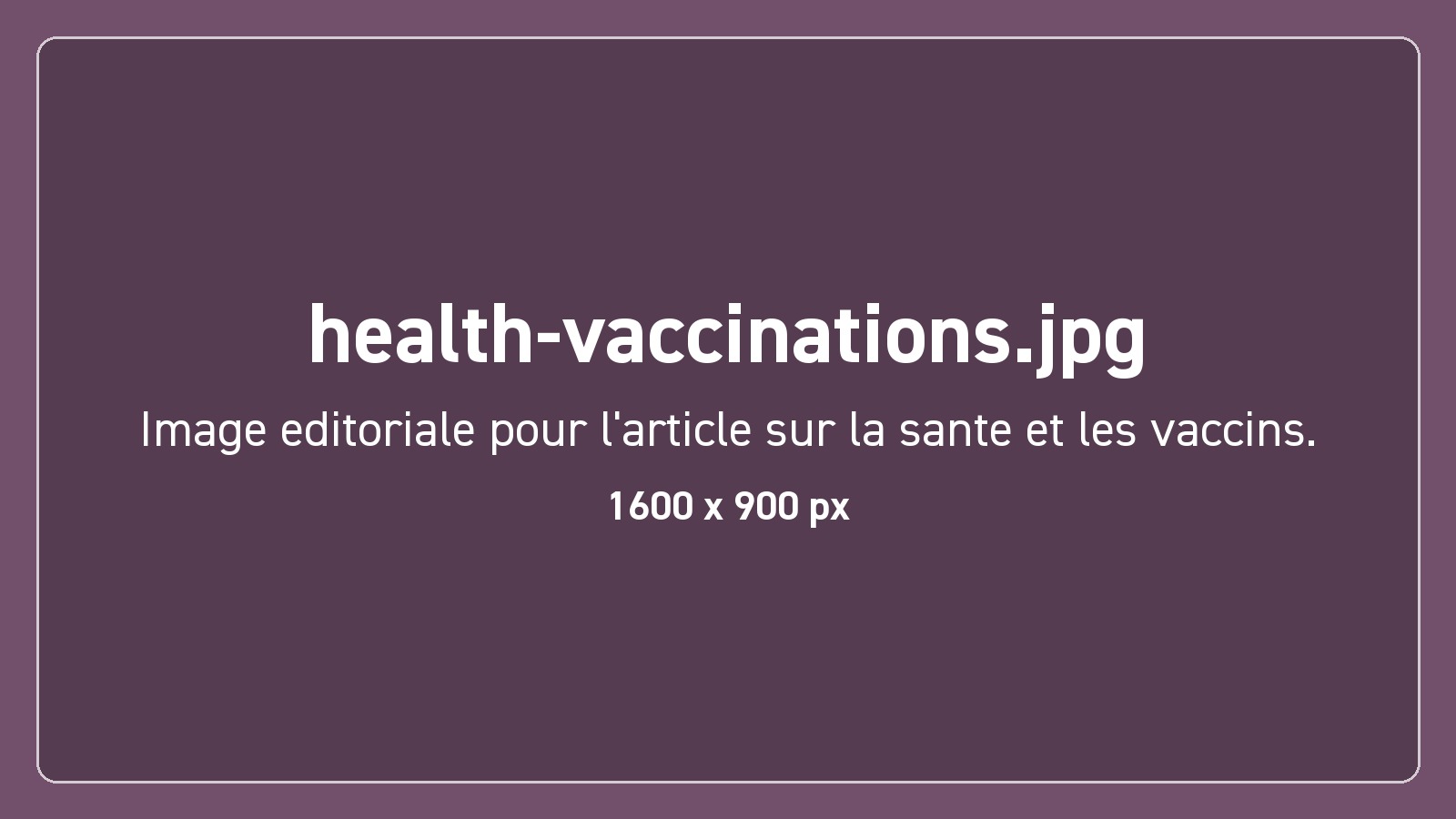 Vaccination avant le départ pour le Hajj